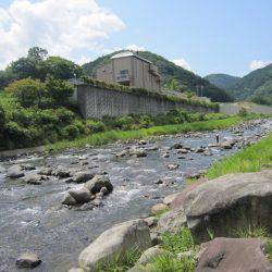 狩野川(狩野川漁業協同組合) 釣果