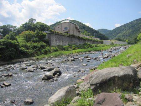 狩野川(狩野川漁業協同組合) 釣果