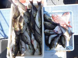 石川丸 釣果