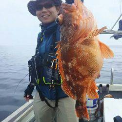黒ひげ 釣果