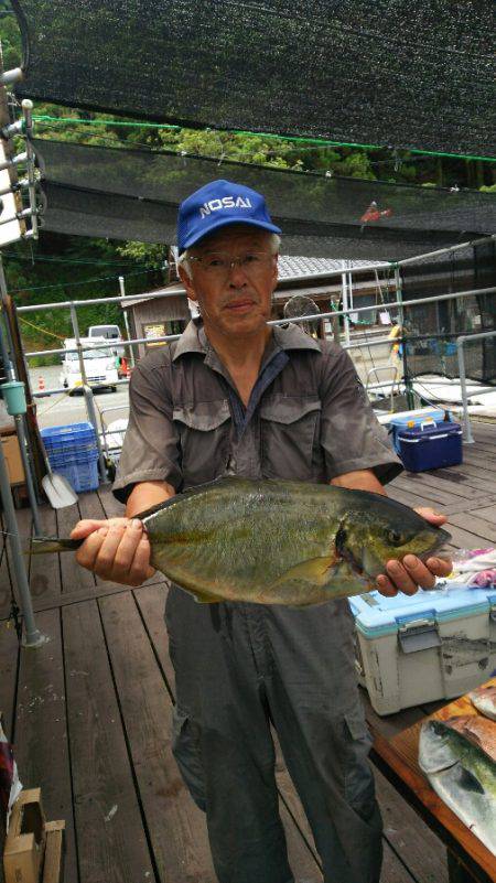 海上釣堀フィッシングレインボー 釣果