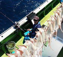 利八丸 釣果
