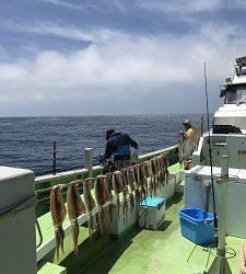 利八丸 釣果