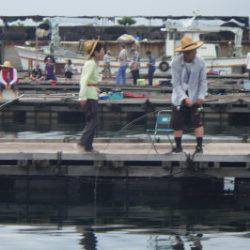 淡路じゃのひれフィッシングパーク 釣果