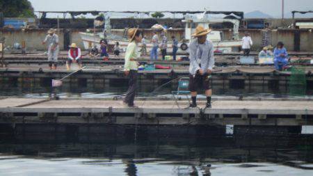 淡路じゃのひれフィッシングパーク 釣果