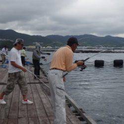 淡路じゃのひれフィッシングパーク 釣果