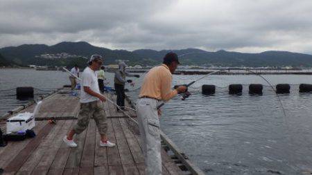 淡路じゃのひれフィッシングパーク 釣果