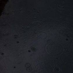 淡路じゃのひれフィッシングパーク 釣果