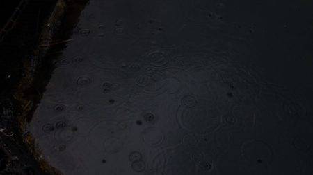 淡路じゃのひれフィッシングパーク 釣果