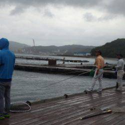 淡路じゃのひれフィッシングパーク 釣果