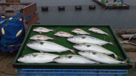 淡路じゃのひれフィッシングパーク 釣果