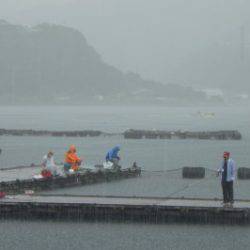 淡路じゃのひれフィッシングパーク 釣果