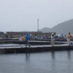 淡路じゃのひれフィッシングパーク 釣果