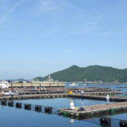 淡路じゃのひれフィッシングパーク 釣果