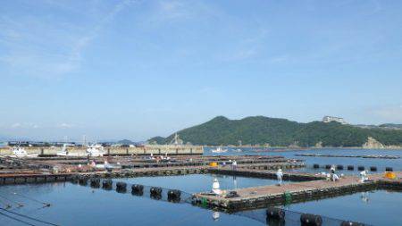 淡路じゃのひれフィッシングパーク 釣果