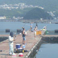 淡路じゃのひれフィッシングパーク 釣果