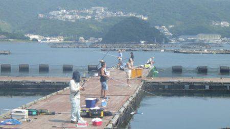 淡路じゃのひれフィッシングパーク 釣果