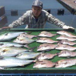 淡路じゃのひれフィッシングパーク 釣果