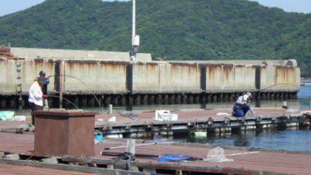 淡路じゃのひれフィッシングパーク 釣果