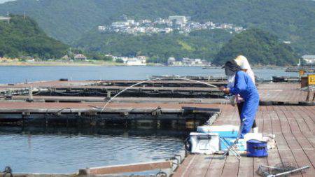 淡路じゃのひれフィッシングパーク 釣果