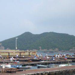 淡路じゃのひれフィッシングパーク 釣果