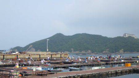 淡路じゃのひれフィッシングパーク 釣果