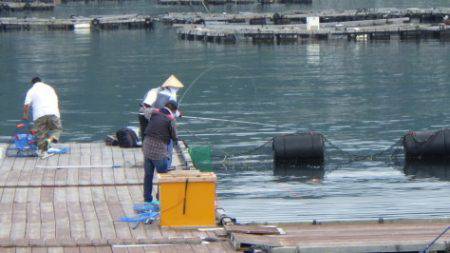 淡路じゃのひれフィッシングパーク 釣果
