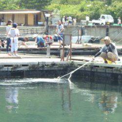 淡路じゃのひれフィッシングパーク 釣果