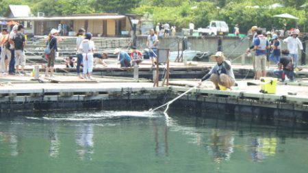 淡路じゃのひれフィッシングパーク 釣果