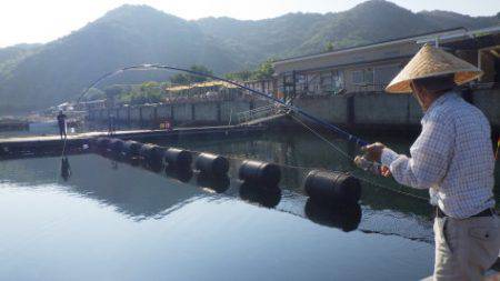 淡路じゃのひれフィッシングパーク 釣果