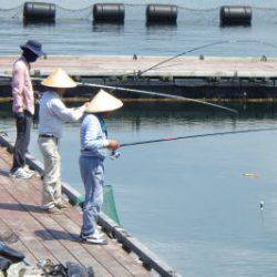 淡路じゃのひれフィッシングパーク 釣果