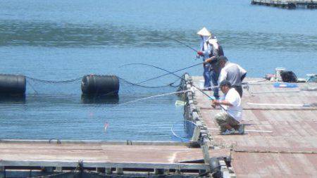 淡路じゃのひれフィッシングパーク 釣果