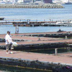 淡路じゃのひれフィッシングパーク 釣果