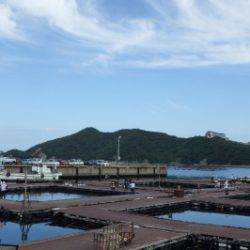 淡路じゃのひれフィッシングパーク 釣果