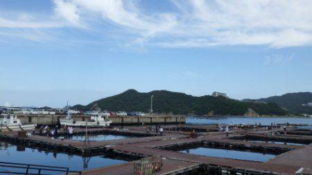 淡路じゃのひれフィッシングパーク 釣果