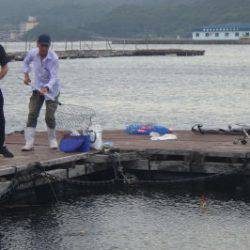 淡路じゃのひれフィッシングパーク 釣果