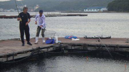 淡路じゃのひれフィッシングパーク 釣果