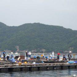 淡路じゃのひれフィッシングパーク 釣果