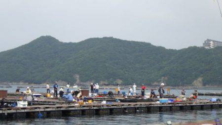 淡路じゃのひれフィッシングパーク 釣果