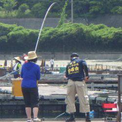 淡路じゃのひれフィッシングパーク 釣果