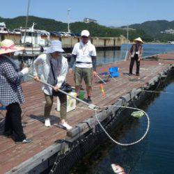淡路じゃのひれフィッシングパーク 釣果