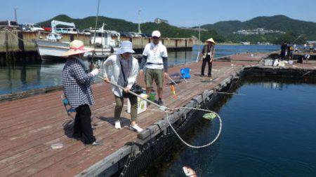 淡路じゃのひれフィッシングパーク 釣果