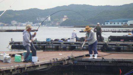 淡路じゃのひれフィッシングパーク 釣果
