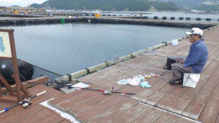 淡路じゃのひれフィッシングパーク 釣果