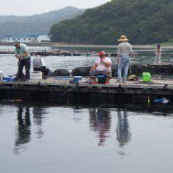 淡路じゃのひれフィッシングパーク 釣果