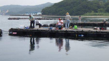 淡路じゃのひれフィッシングパーク 釣果