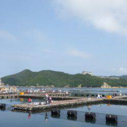 淡路じゃのひれフィッシングパーク 釣果