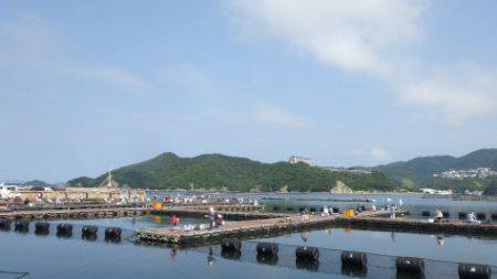 淡路じゃのひれフィッシングパーク 釣果