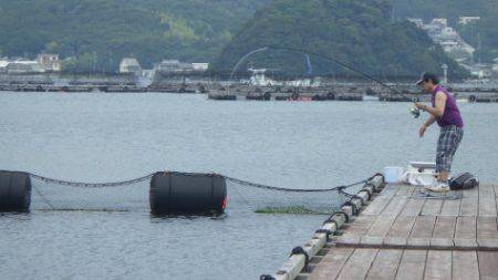 淡路じゃのひれフィッシングパーク 釣果