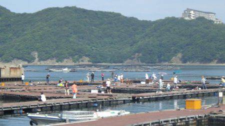 淡路じゃのひれフィッシングパーク 釣果